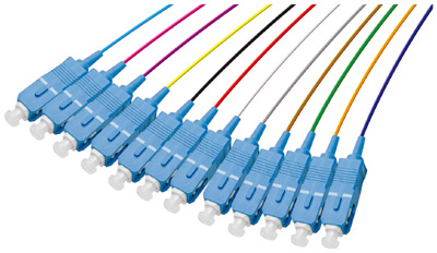 Pigtail SC (UPC), 12 connecteurs, pour fibre 900 µm, sans halogène, TLC