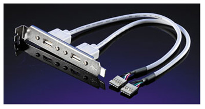 Plaque pour 2 ports USB 2.0, Value